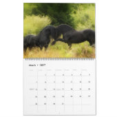 Calendrier Boyz de la forêt - Combats de la liberté (Mar 2027)
