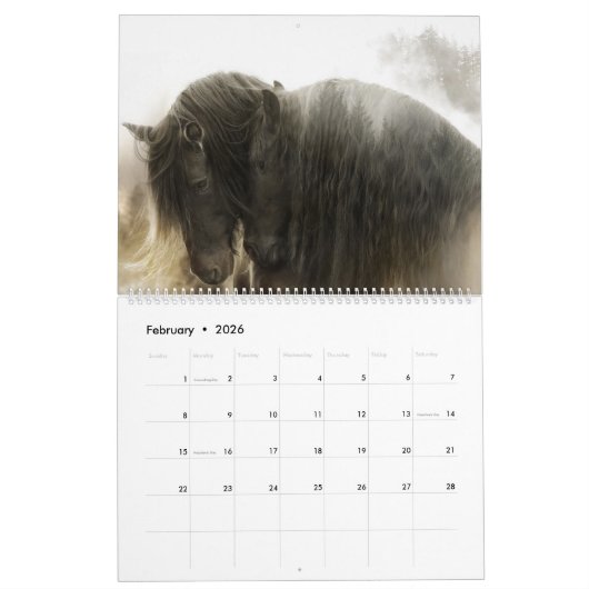 Calendrier Boyz forestier en 2020 (Feb 2026)