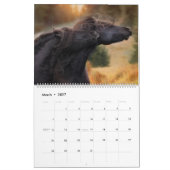Calendrier Boyz forestier en 2020 (Mar 2027)