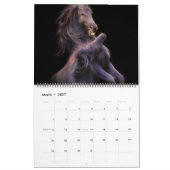 Calendrier Boyz forestier - Terre promise (Mar 2027)