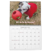 Calendrier BOZ 2027 (Feb 2027)
