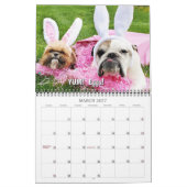 Calendrier BOZ 2027 (Mar 2027)