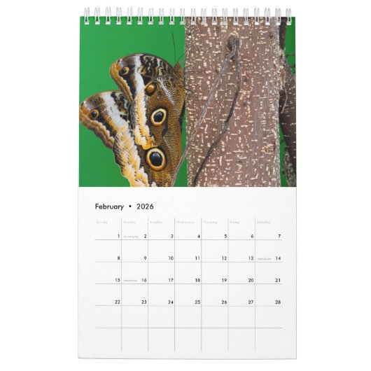 Calendrier branche la vie sur table d'écoute (Feb 2026)