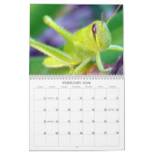 Calendrier Branchez-moi sur table d'écoute ! (Feb 2026)