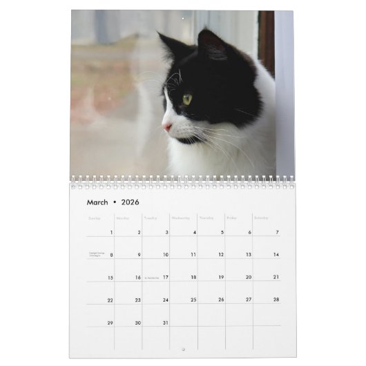 Calendrier Brave Sir Baby Tuxedo Chat (Mar 2026)