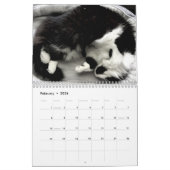 Calendrier Brave Sir Baby Tuxedo Chat (Feb 2026)