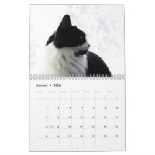 Calendrier Brave Sir Baby Tuxedo Chat (Jan 2026)