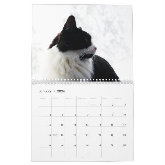 Calendrier Brave Sir Baby Tuxedo Chat (Jan 2026)