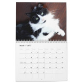 Calendrier Brave Sir Bébé (Mar 2027)