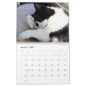 Calendrier Brave Sir Bébé (Jan 2027)