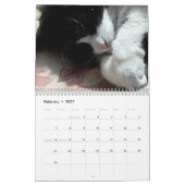 Calendrier Brave Sir Bébé (Feb 2027)