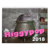Calendrier Breuvages magiques Calendat 2018 de Higgypop (Protection)