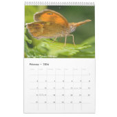 Calendrier British Butterflies 2020 (Feb 2026)