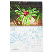 Calendrier bromeliad et orchidées tropicaux, Fairchild g (Mar 2026)
