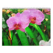 Calendrier bromeliad et orchidées tropicaux, Fairchild g (Protection)