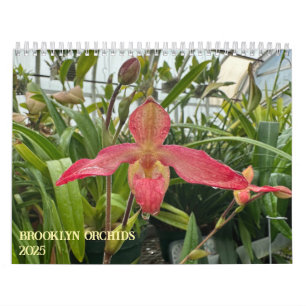 Calendrier Brooklyn Orchids 2025