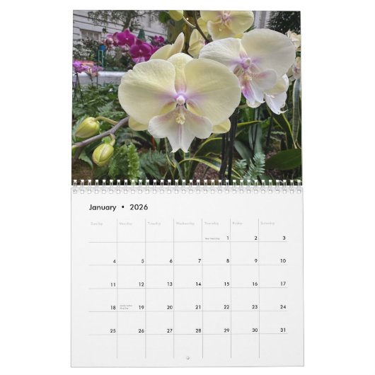 Calendrier Brooklyn Orchids 2025 (Jan 2026)