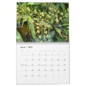 Calendrier Brooklyn Orchids 2026 Calendar (Mar 2027)