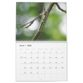 Calendrier brouillé de chenilles (Mar 2026)