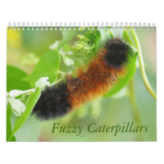 Calendrier brouillé de chenilles