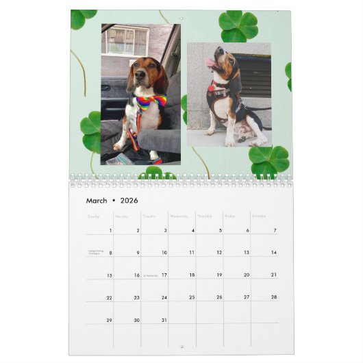 Calendrier Bruno Beagle Calendar 2022 (Mar 2026)