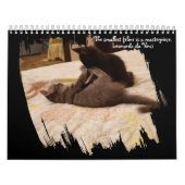 Calendrier Brushstroke Opening Feline Masterpiece Photo (Protection)