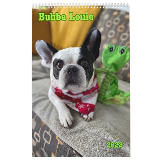 Calendrier Bubba 2022 (Protection)