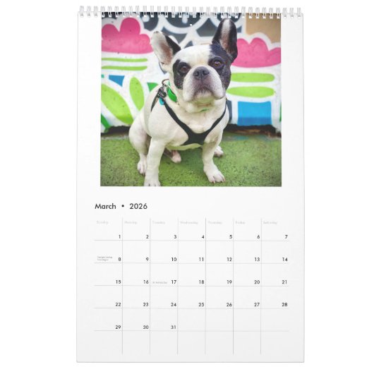 Calendrier Bubba 2022 (Mar 2026)