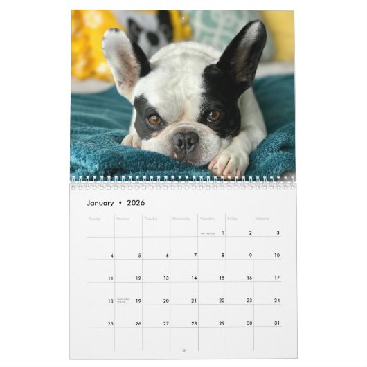 Calendrier Bubba 2023 (Jan 2026)
