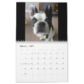 Calendrier Bubba 2023 (Feb 2027)