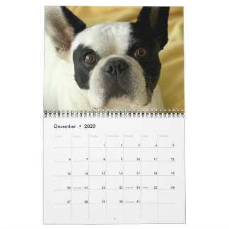 Calendrier Bubba Louie 2020