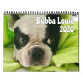 Calendrier Bubba Louie 2020 (Protection)