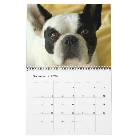 Calendrier Bubba Louie 2020 (Dec 2026)