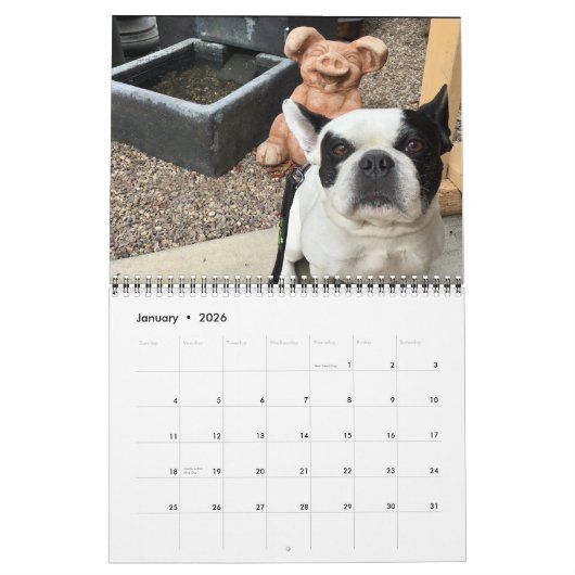 Calendrier Bubba Louie 2020 (Jan 2026)