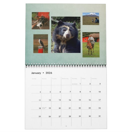 Calendrier Bubu 2011 (Jan 2026)