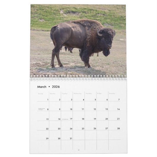 Calendrier Buffalo (Mar 2026)