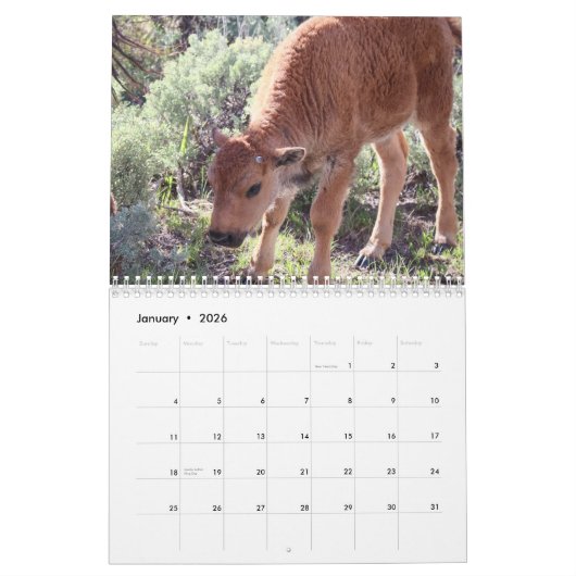 Calendrier Buffalo (Jan 2026)