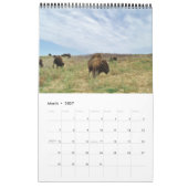 Calendrier Buffaloed (Mar 2027)