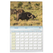 Calendrier Buffle Calendar Buffalo Animal (Feb 2027)