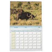 Calendrier Buffle Calendar Buffalo Animal (Feb 2026)