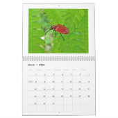 Calendrier - Buggy Over Buggy (Mar 2026)