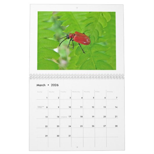 Calendrier - Buggy Over Buggy (Mar 2026)