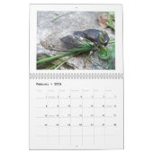 Calendrier - Buggy Over Buggy (Feb 2026)