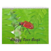 Calendrier - Buggy Over Buggy (Protection)
