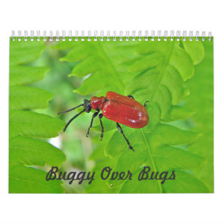 Calendrier - Buggy Over Buggy