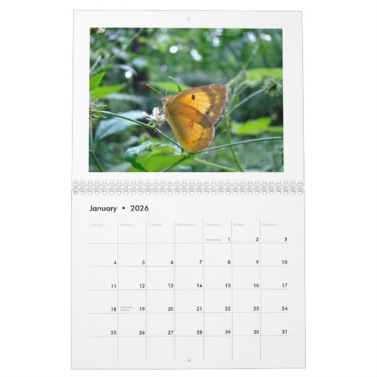 Calendrier - Buggy Over Buggy (Jan 2026)
