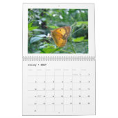 Calendrier - Buggy Over Buggy (Jan 2027)