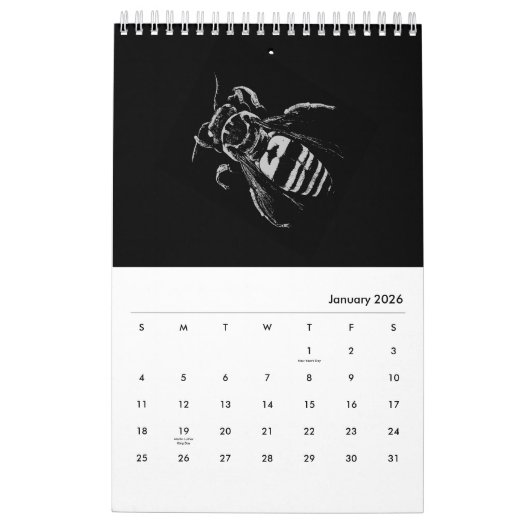 Calendrier Bugs World - Insects - 2022 (Jan 2026)