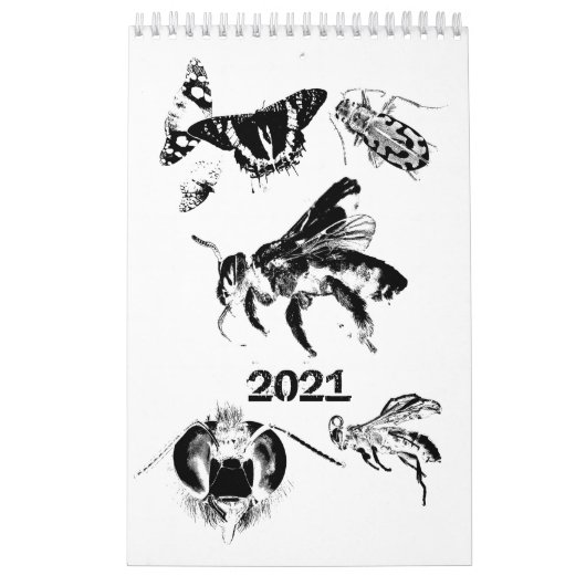 Calendrier Bugs World - Insects - 2022 (Protection)