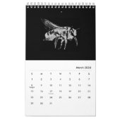 Calendrier Bugs World - Insects - 2022 (Mar 2026)